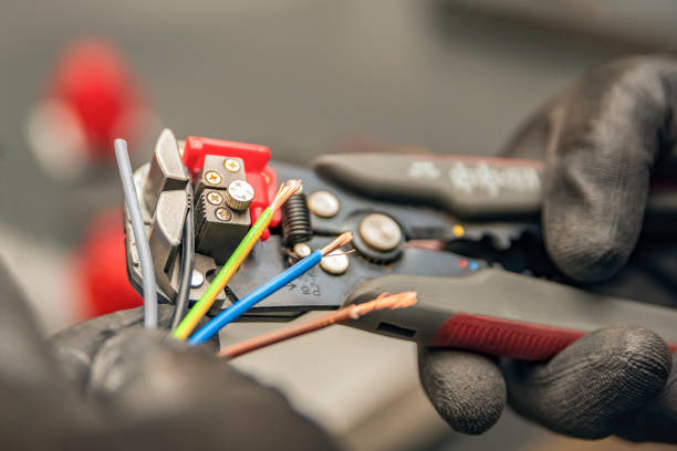 Best Electric Panel Repair  in Port Isabel, TX